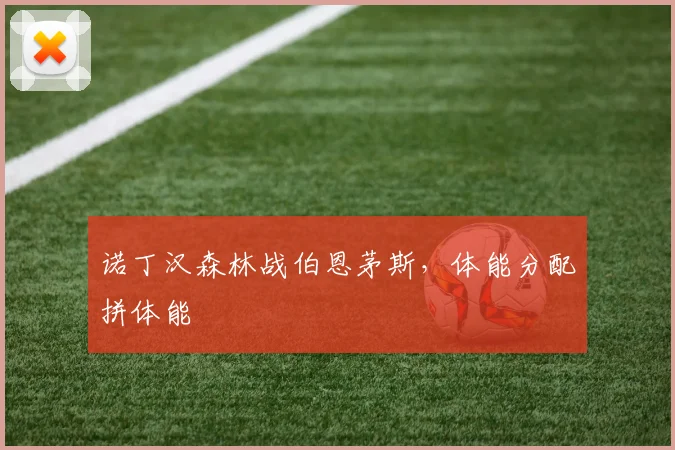 诺丁汉森林战伯恩茅斯，体能分配拼体能